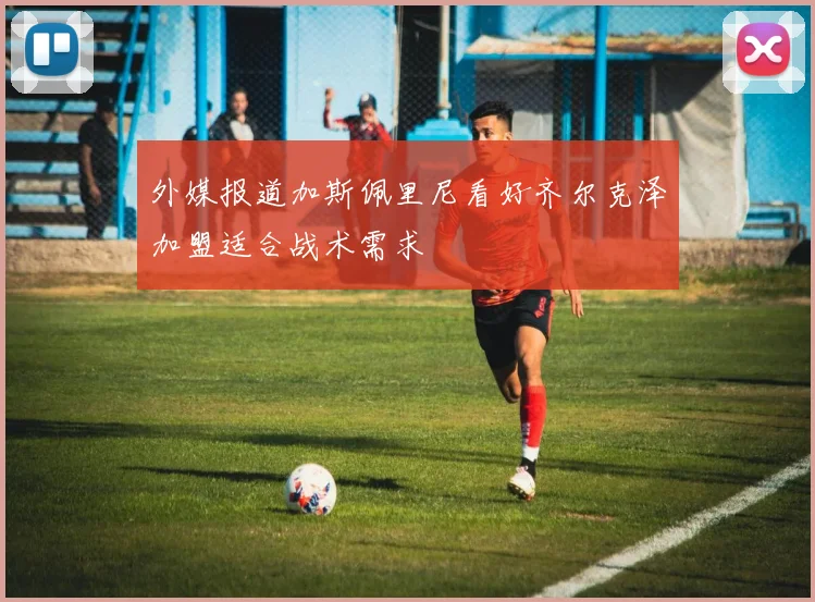 外媒报道加斯佩里尼看好齐尔克泽加盟适合战术需求