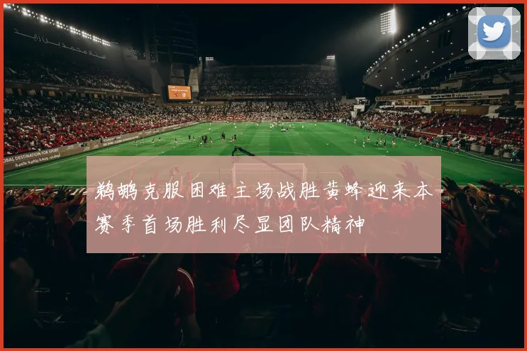 鹈鹕克服困难主场战胜黄蜂迎来本赛季首场胜利尽显团队精神