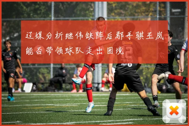 辽媒分析继伟缺阵后鄢手骐王岚嵚能否带领球队走出困境