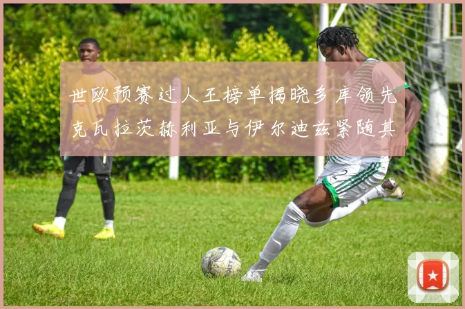 世欧预赛过人王榜单揭晓多库领先克瓦拉茨赫利亚与伊尔迪兹紧随其后